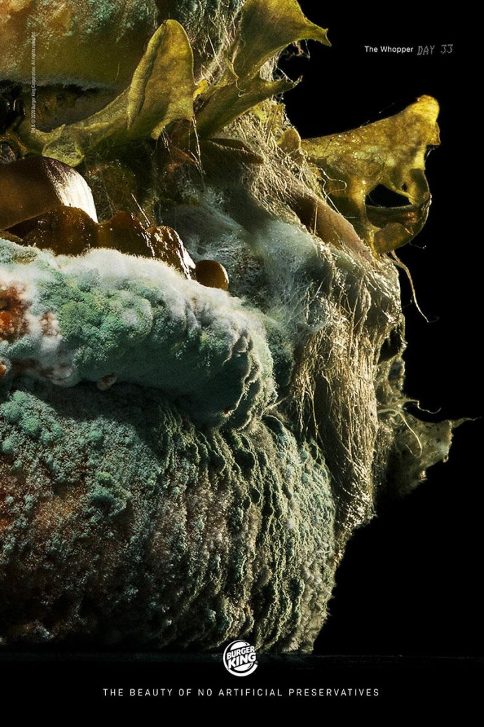 Burger King: The Moldy Whopper, Day 33