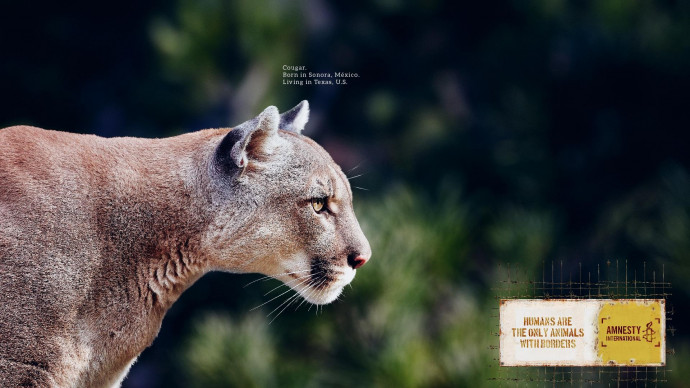 Amnesty International: Animal Borders, 2