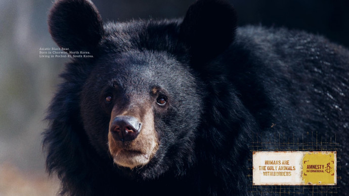 Amnesty International: Animal Borders, 5