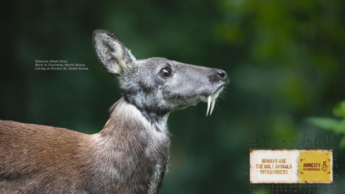 Amnesty International: Animal Borders, 7