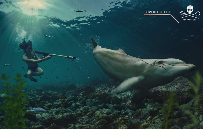 Sea Shepherd: Harpoons, 1