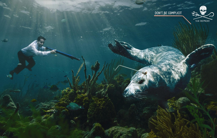 Sea Shepherd: Harpoons, 2