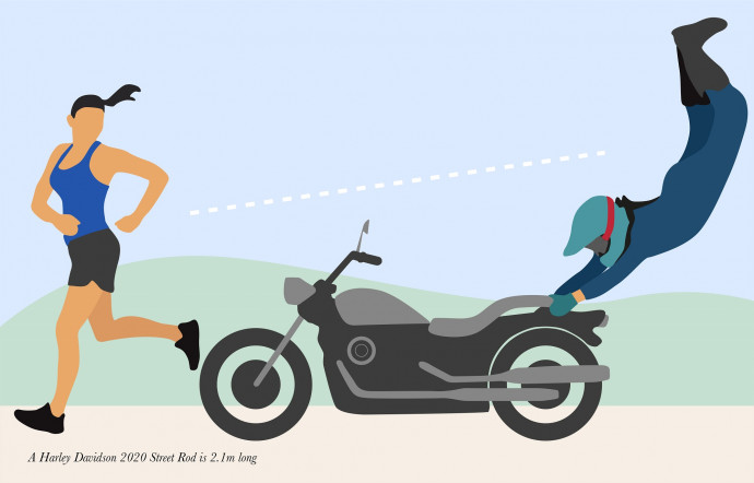 Free The Birds: #SocialDistancing (Harley Davidson)