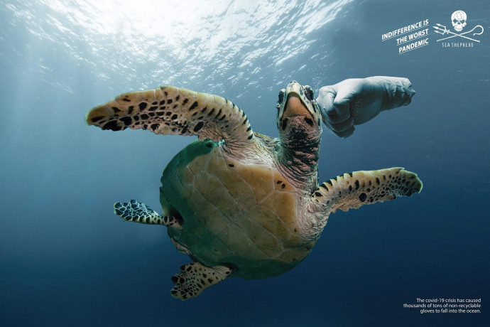 Sea Shepherd: Gloves, 1
