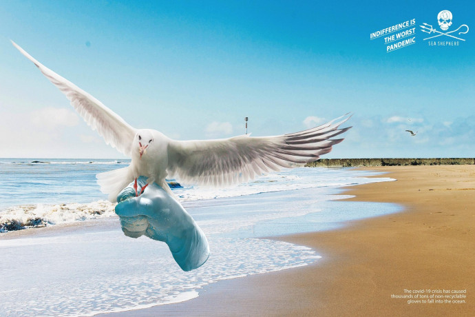 Sea Shepherd: Gloves, 3