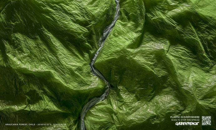 Greenpeace: Araucania