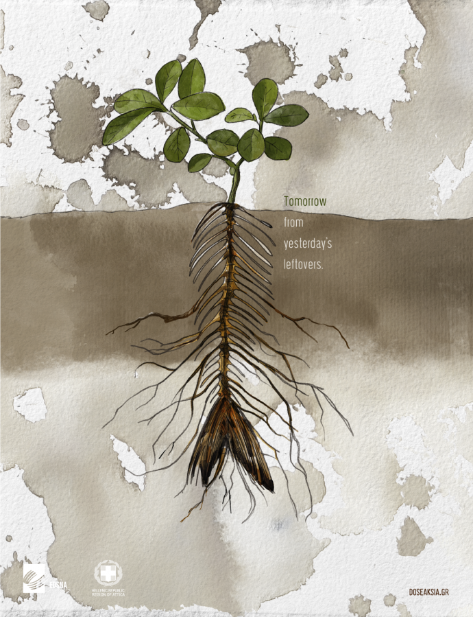 EDSNA: Squidroot