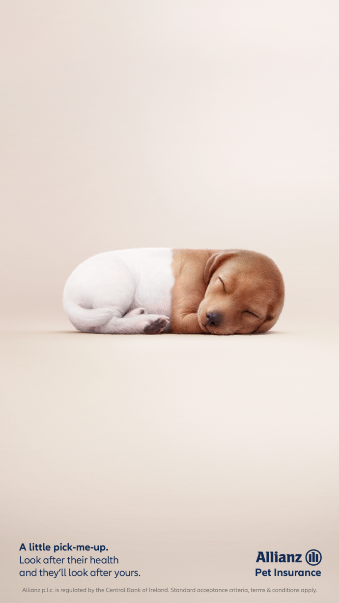 Allianz: Pawscription, 1