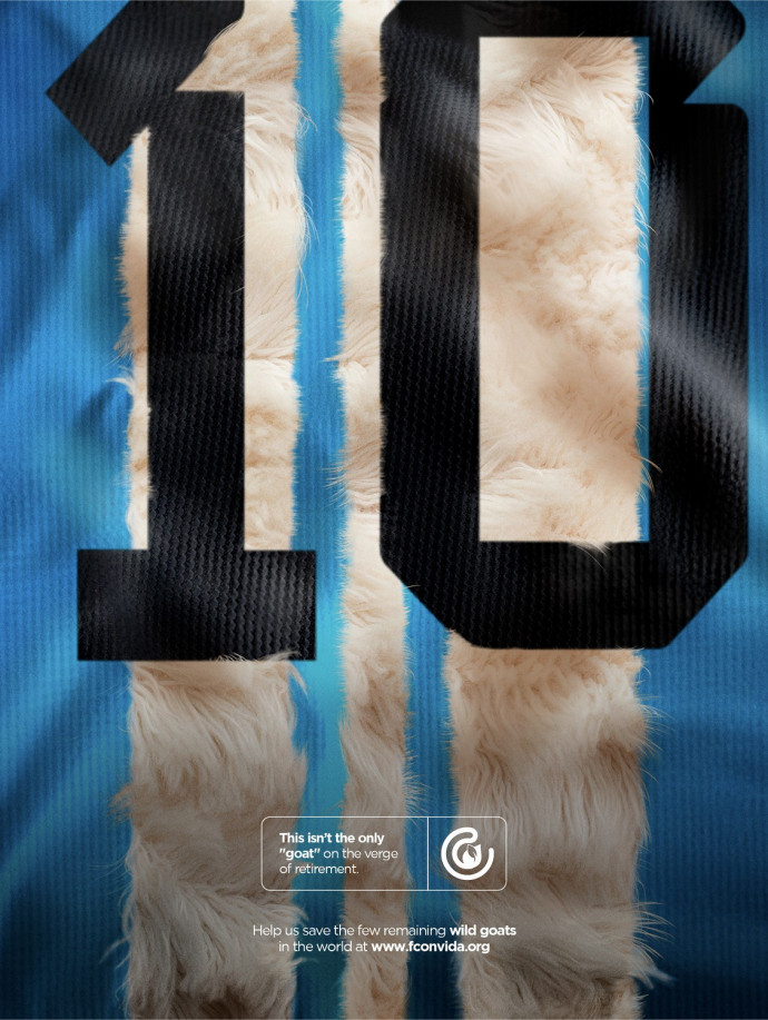 Fundacion con Vida: Retiring Species, Argentina