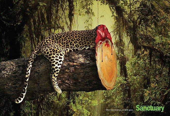 Sanctuary: Wildlife, 1