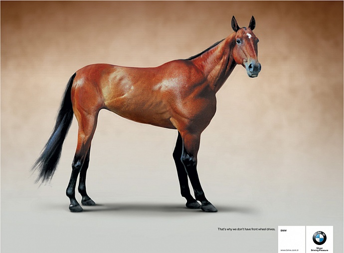 BMW: Horse