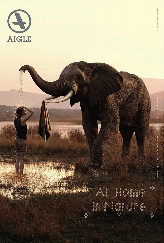 Aigle: Elephant