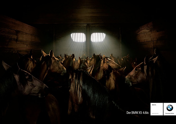 BMW X5: Horses