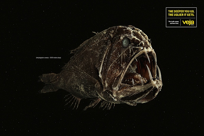 Revista Veja: Ugly, 4