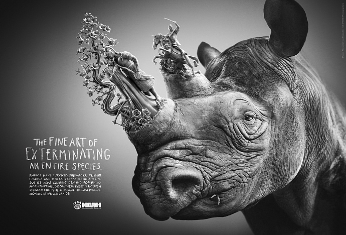 NOAH Menschen f&uuml;r Tiere e.V.: Rhino