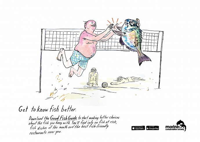 Marine Conservation Society: Get to know fish better, 3