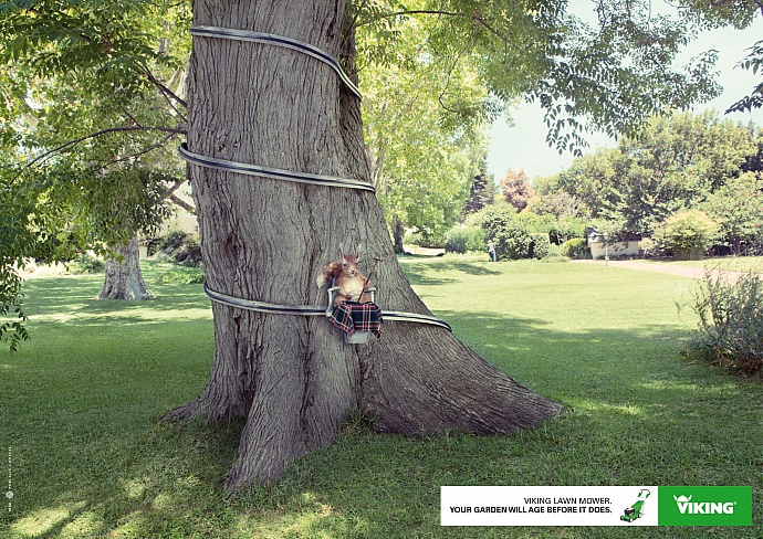Viking: Squirrel
