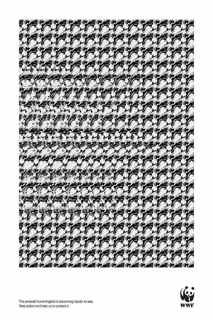WWF: Hummingbird