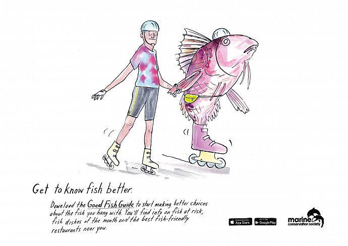 Marine Conservation Society: Get to know fish better, 1
