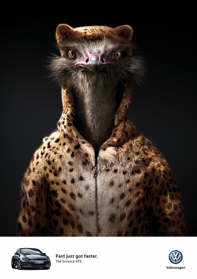 Volkswagen: Ostrich