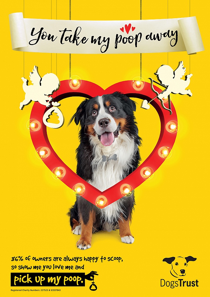 Dogs Trust: The Big Scoop, 1