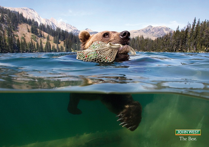 John West: Bear