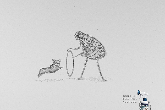 Frontline: Corgi