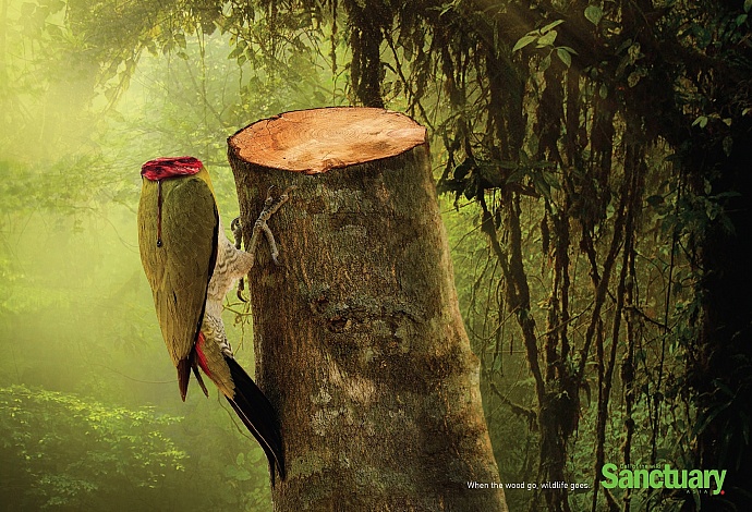 Sanctuary: Wildlife, 4