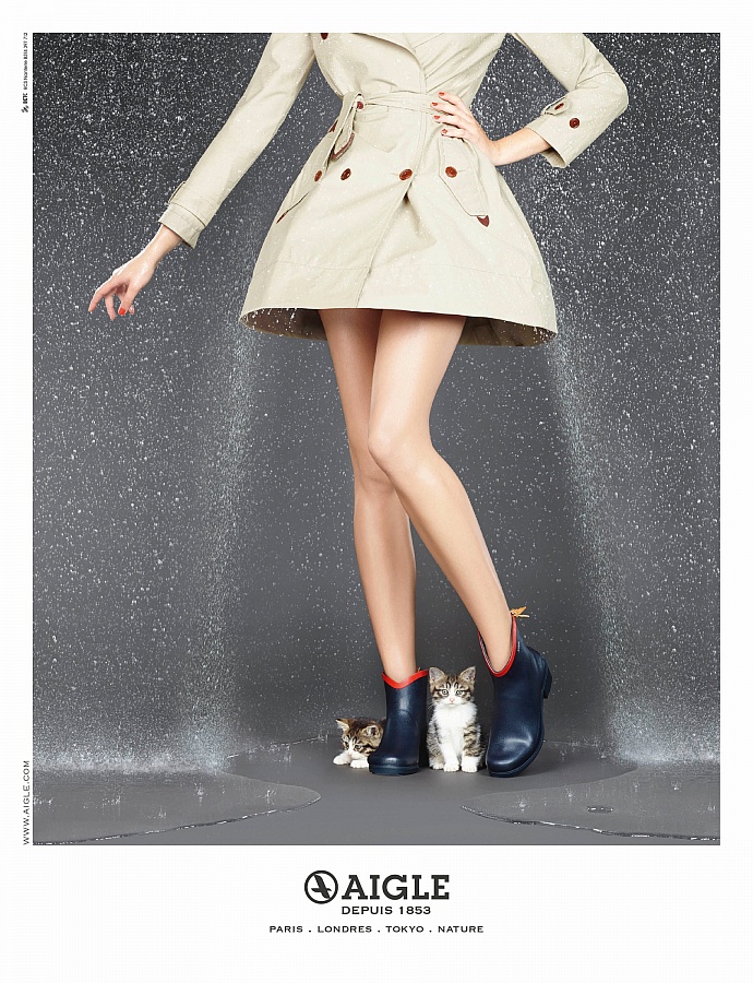 Aigle: Kittens, 2