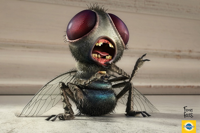 Pedigree: Fly