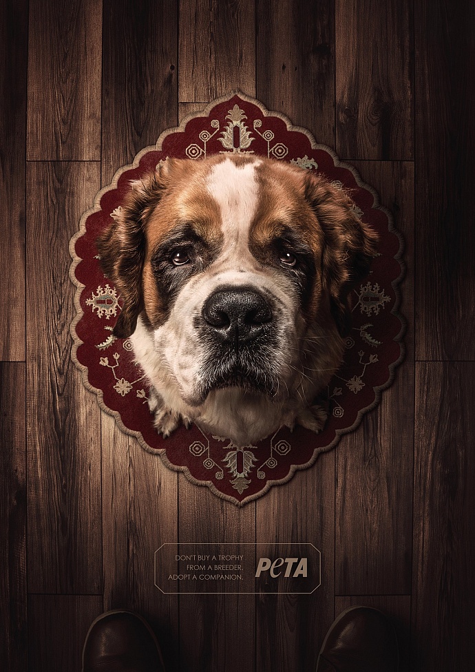 PETA: Trophies - Saint Bernard