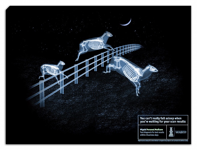 Migdal: X-ray sheep