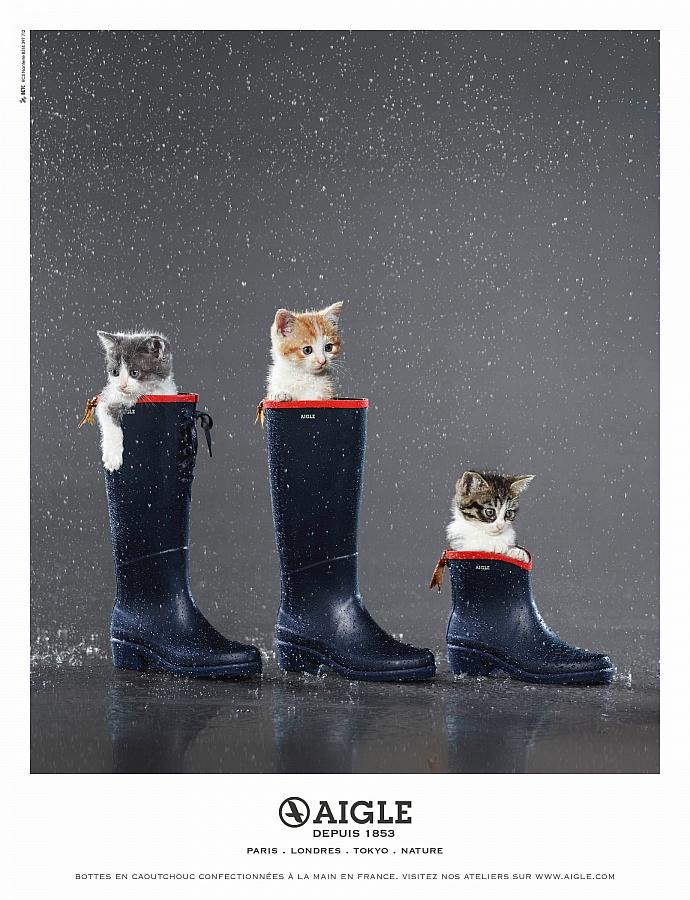 Aigle: Kittens, 1