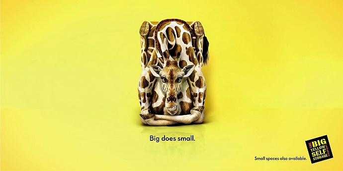 Big Yellow Self Storage: Giraffe