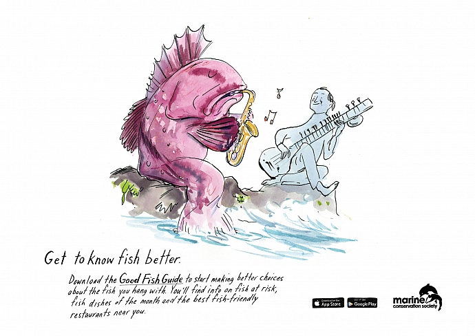Marine Conservation Society: Get to know fish better, 5