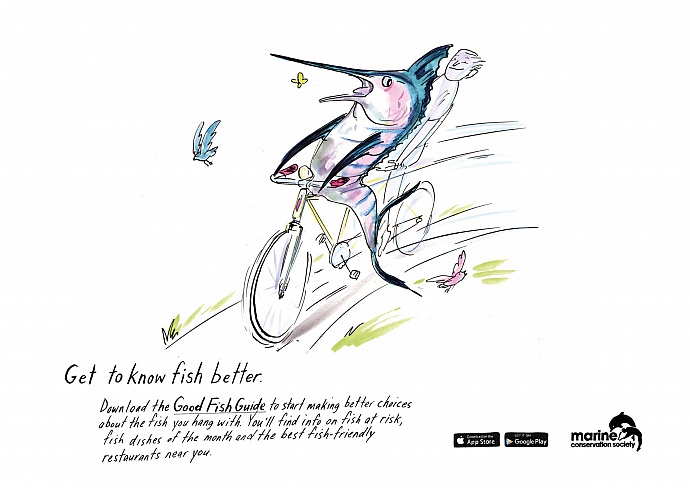 Marine Conservation Society: Get to know fish better, 2