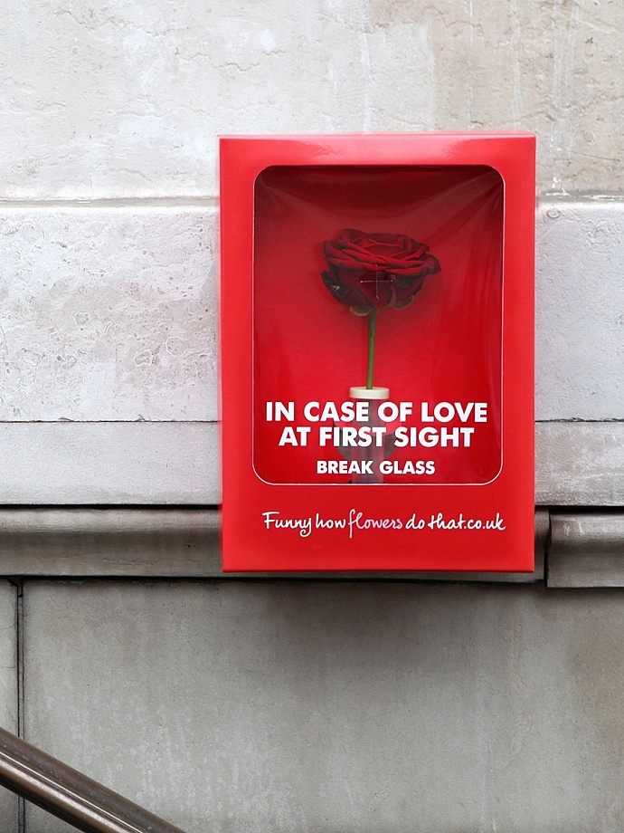 Flower Council of Holland: In case of love at first sight
