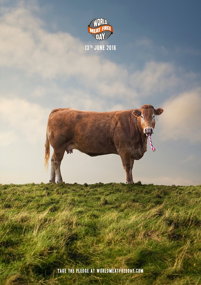 World Meat Free Day: Party cow