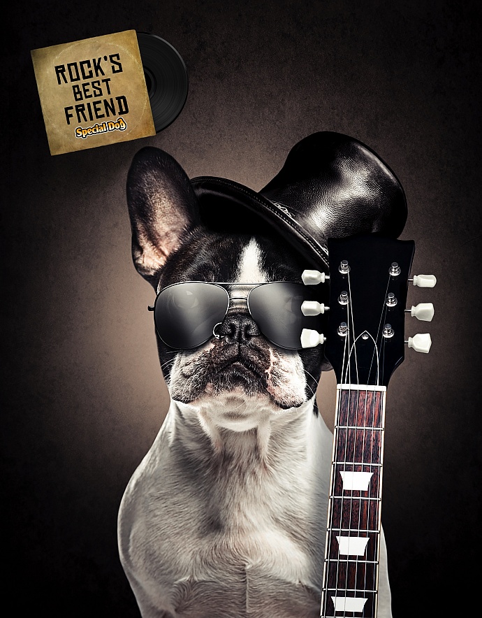 Special Dog: Slash