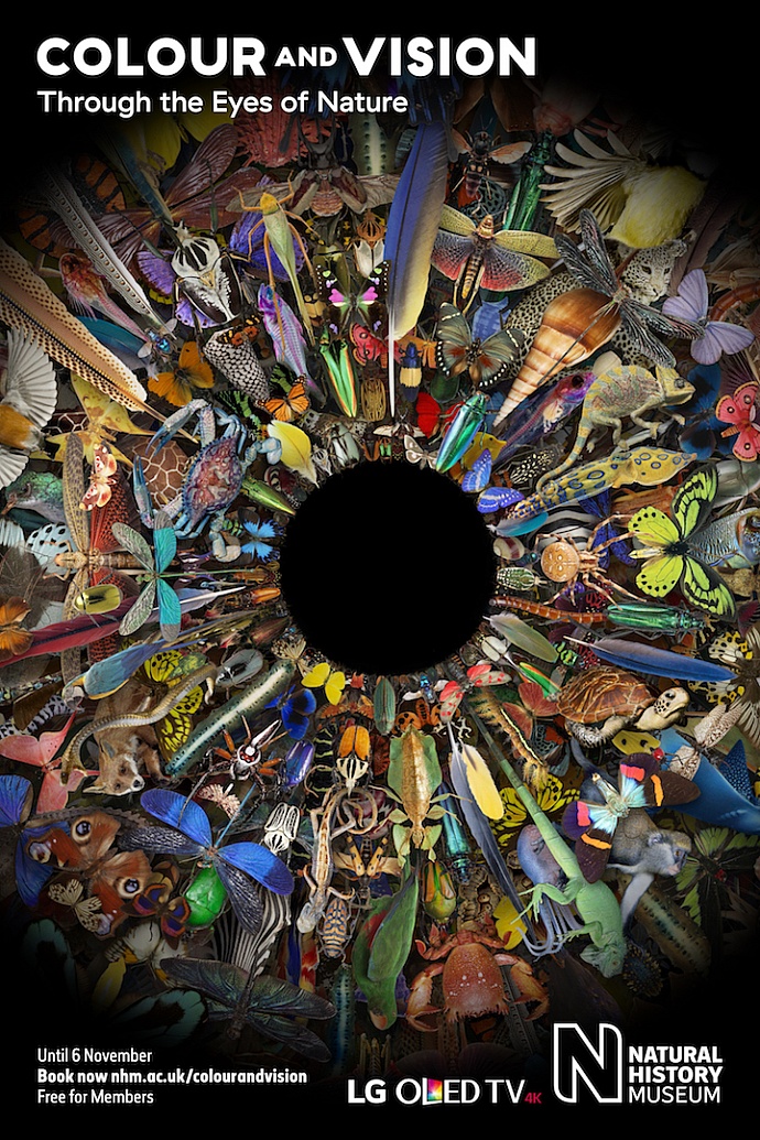 Natural History Museum: Colour and Vision, 4
