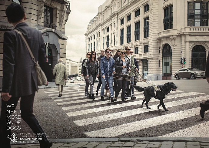 Belgian Centre for Guide Dogs: Crossing