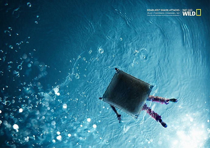 Nat Geo Wild: Deadliest shark attacks, 1