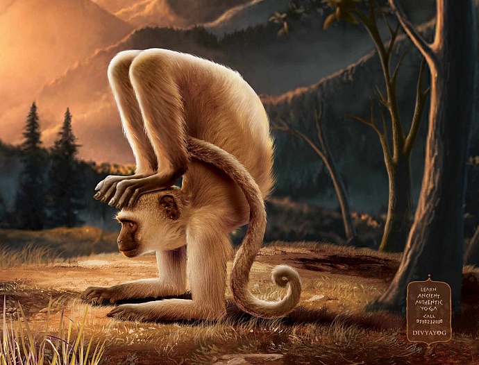 Divyayog: Ancient Yogis, 1