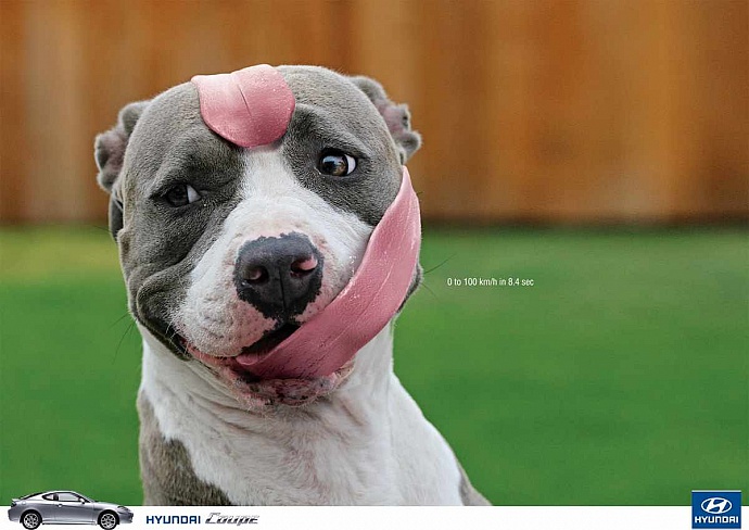 Hyundai: Dog