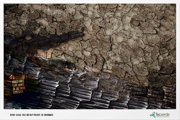 Tecverde: Alligator