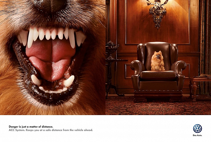Volkswagen: Dog