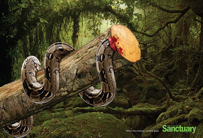 Sanctuary: Wildlife, 2
