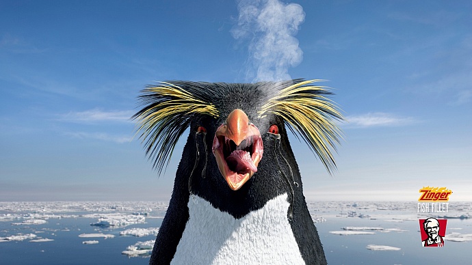 KFC: Penguin