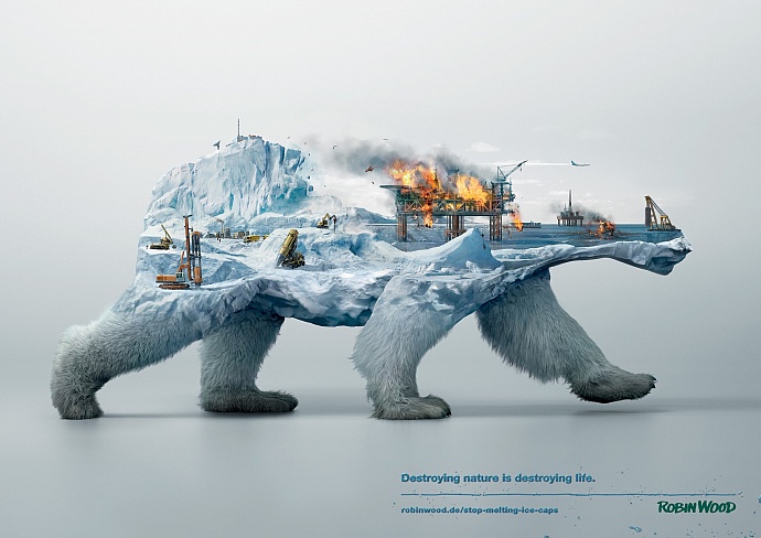 Robin Wood: Polar bear