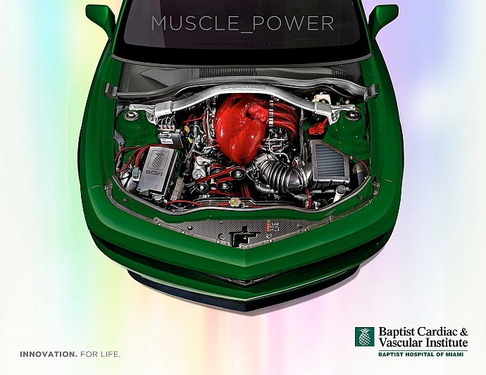 Baptist Cardiac & Vascular Institute: Heart, 1
